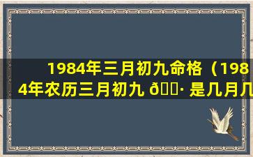 1984年三月初九命格（1984年农历三月初九 🌷 是几月几 🦁 日）